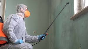 Best Industrial Mold Remediation  in Bradford, PA